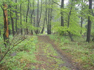 Hodslavice