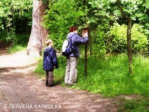 Medobraní a Den dětí 2010