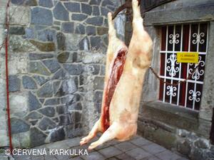 Probuzení a narozeniny Ježibaby 2011