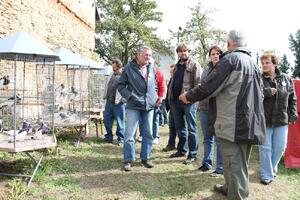 MAS Železnohorský region