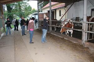 MAS Železnohorský region