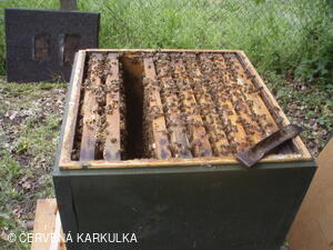 Medobraní s dětským dnem u Perníkové chaloupky 2011