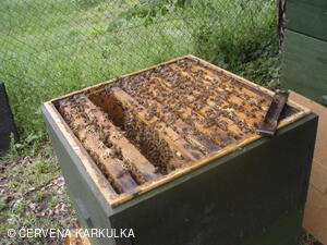 Medobraní s dětským dnem u Perníkové chaloupky 2011